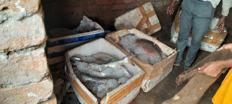 प्रतिबंधित समय में धड़ल्ले से हो रहे मछली के आखेट पर पुलिस प्रशासन ने मारा छापा