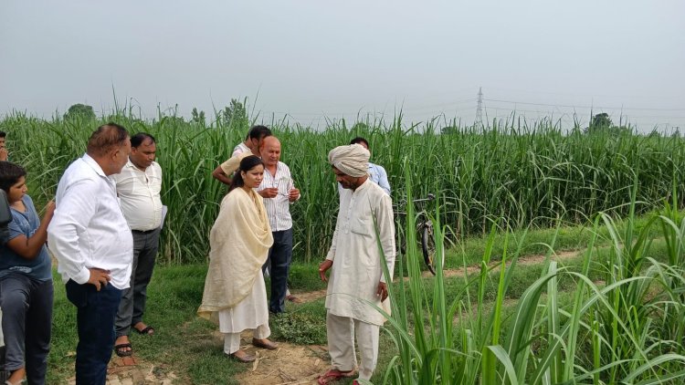 तहसील दिवस में आई शिकायतों का टीम भेजकर जिलाधिकारी ने कराया मौके पर निस्तारण