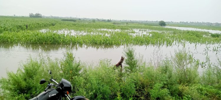 हिडंन नदी उफान पर, बालैनी क्षेत्र के कई गांवों के खेतों में पानी घुसा , लाखों की फसलें हुई तबाह