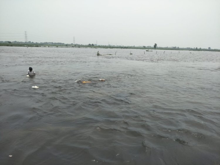 हिड़न का जलस्तर बढने से ग़्रामीणों में दहशत , सरफाबाद में किसानों की लाखों की फसलें तबाह