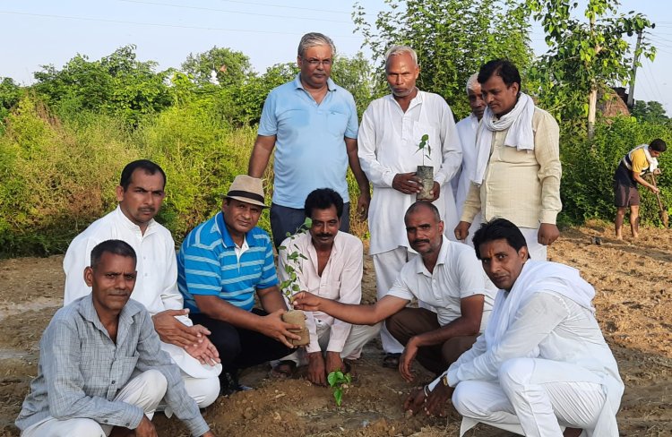 सरकारी सहायता के बिना श्मशान के लिए खरीदी भूमि पर किया पौधारोपण, पर्यावरण संरक्षण के लिए किया जागरूक