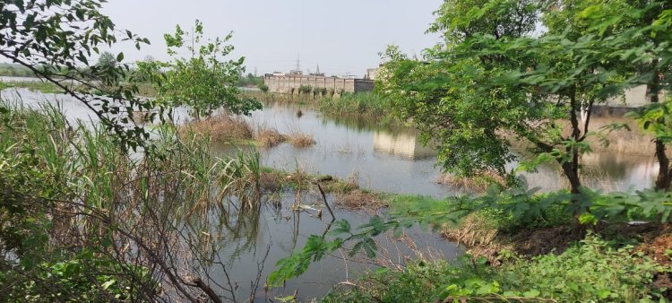 हिंडन का जलस्तर दुबारा बढने लगा, किसानों में बेचैनी, फसलों व मकानों में हुए नुकसान के मुआवजे की मांग