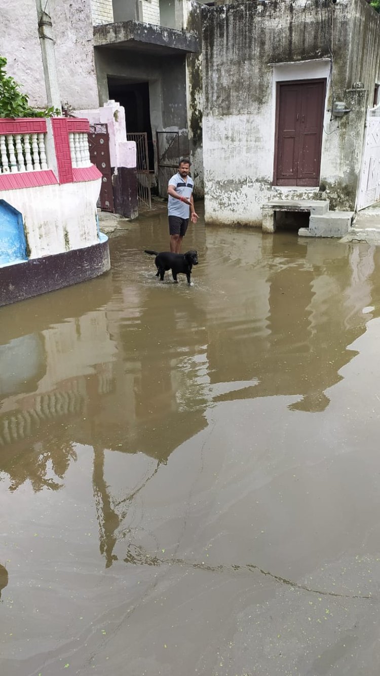 डगरपुर में रास्तों में जलभराव , तालाब ओवर फ्लो ,ग्रामीण परेशान