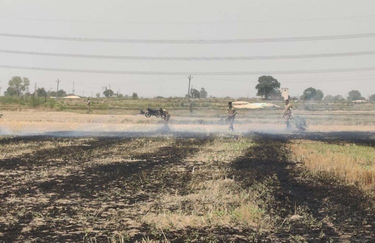अज्ञात कारण से किसान की 7 बीघा गेहूं की फसल जलकर राख, 2 किसानों के पुआल में लगी आग