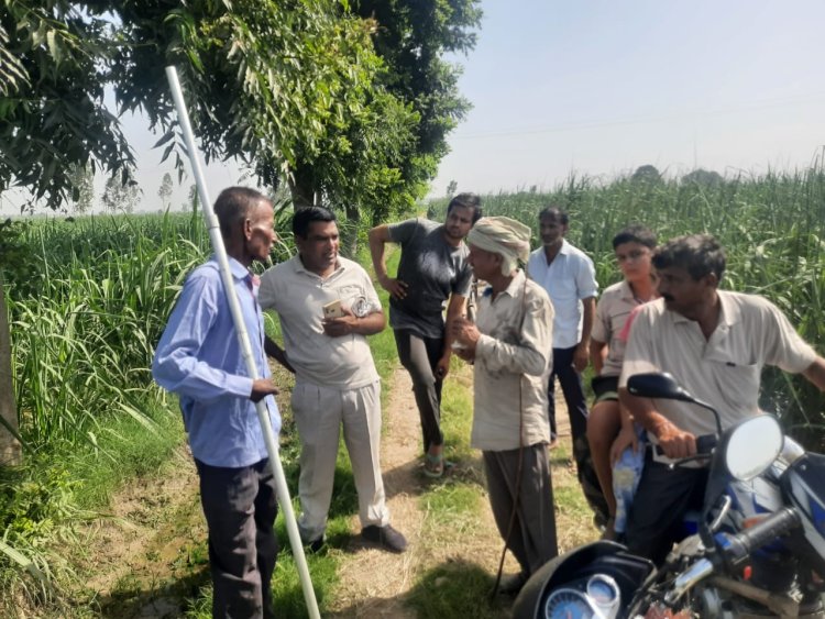 मौहम्मदपुर शकिस्त में निकला लगभग 10 फीट लंबा अजगर, ग्रामीणों ने वन विभाग को दी सूचना