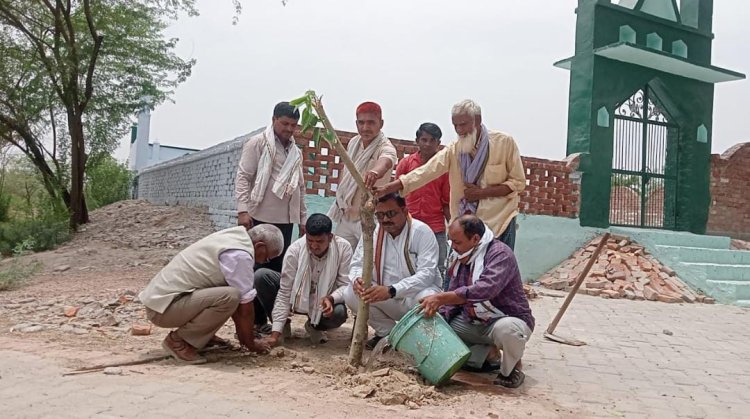 कांग्रेस ब्लॉक अध्यक्ष गौरव मिश्रा के नेतृत्व में वृक्षारोपण कर मनाया राहुल गांधी का जन्म दिवस