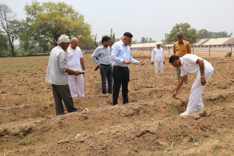 जिलाधिकारी डॉ0 दिनेश चंद्र ने रिमाउंट डिपो पहुंचकर स्वयं सुपर नेपियर घास की बुवाई