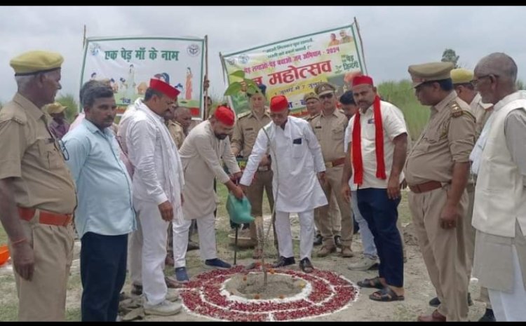 वन महोत्सव कार्यक्रम के तहत किया गया वृक्षारोपण