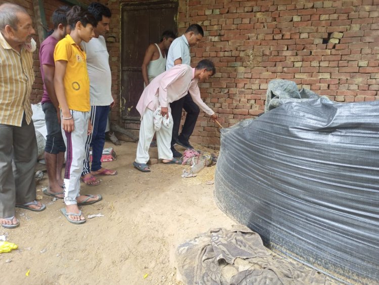 घर में घुसा अजगर ,परिवार में मची खलबली , वनरक्षक व पशु रक्षक ने पकडकर जंगल में छोडा