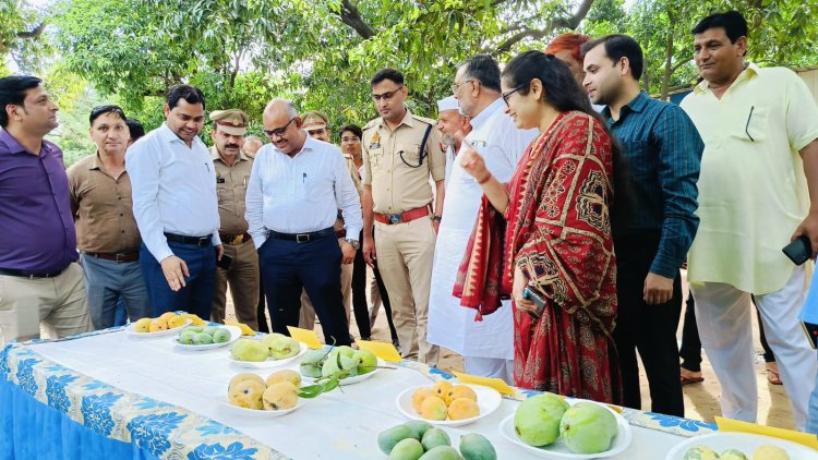 रटौल का आम महोत्सव संपन्न, नर्सरी तैयार कर आम उत्पादकों को मिलेंगी नई पौध, होगी नर्सरी तैयार : जेपी सिंह