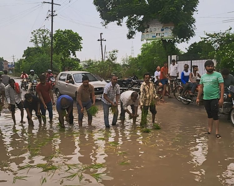 सड़क पर बने गड्ढे में भरे पानी में धान की रोपाई करते नजर आए सपा जिलाध्यक्ष शिक्षक सभा,वा अन्य।