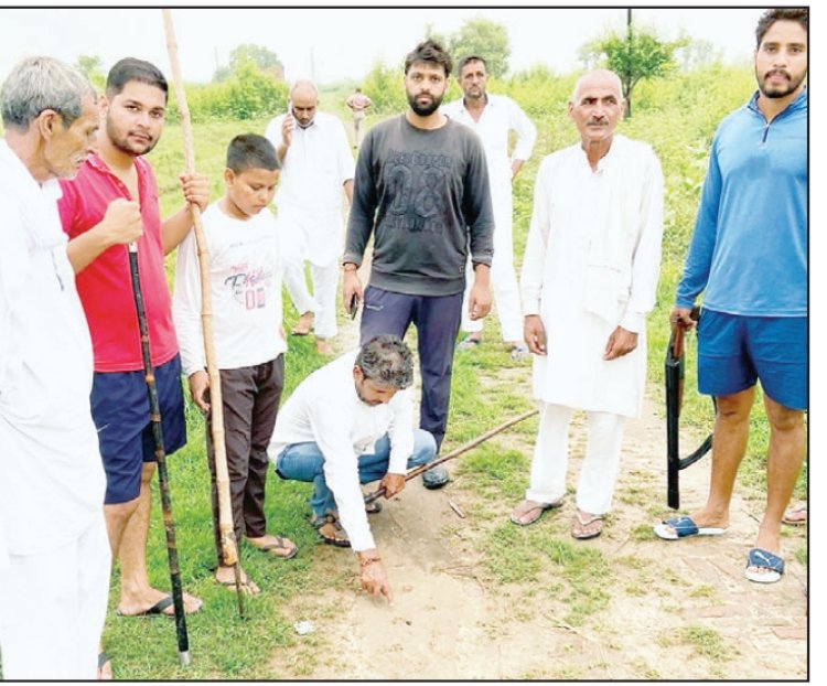 दाहा गाँव के जंगल में शावक सहित दिखा तेंदुआ, पंजे के निसान पर असमंजस, गश्त बढी, किसानों में दहशत