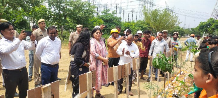 पौधे को लगाने से अधिक महत्वपूर्ण है पौधे को बचाना सेल्वा कुमारी कमिश्नर मेरठ