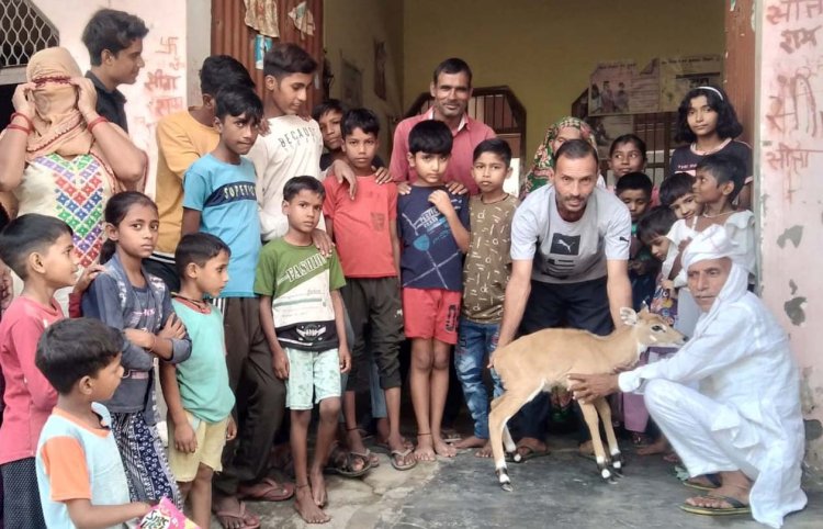 खाफ चौधरी जितेंद्र धामा ने नील गाय के बच्चे को कुत्तो से बचाकर वन विभाग के अधिकारियों को सौंपा