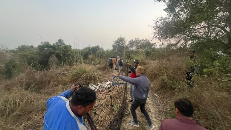 सिरसली के जंगल में शिकारियों के खटके में फंसा तेंदुआ ,4 घंटे के बाद किया गया रेस्क्यू