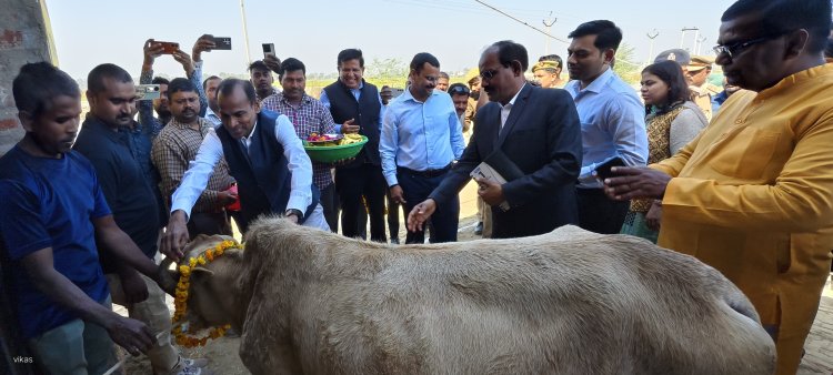 प्रमुख सचिव ने गौ आश्रय स्थल का निरीक्षण कर व्यवस्थाओं का  लिया जायजा।